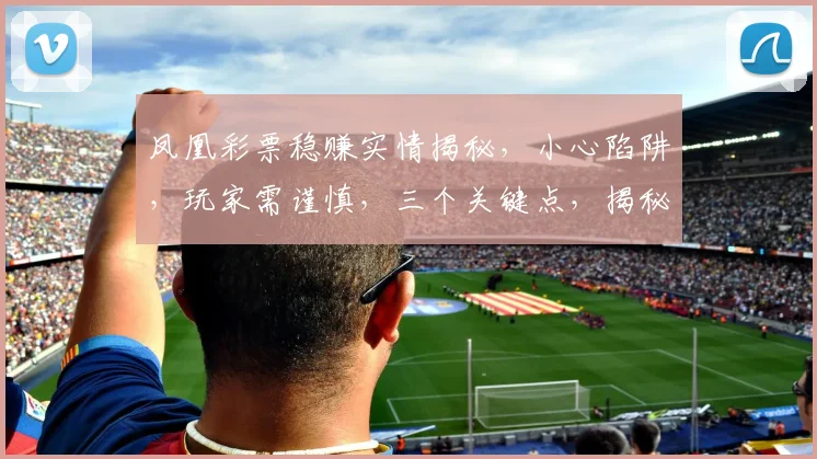 凤凰彩票稳赚实情揭秘，小心陷阱，玩家需谨慎，三个关键点，揭秘真相