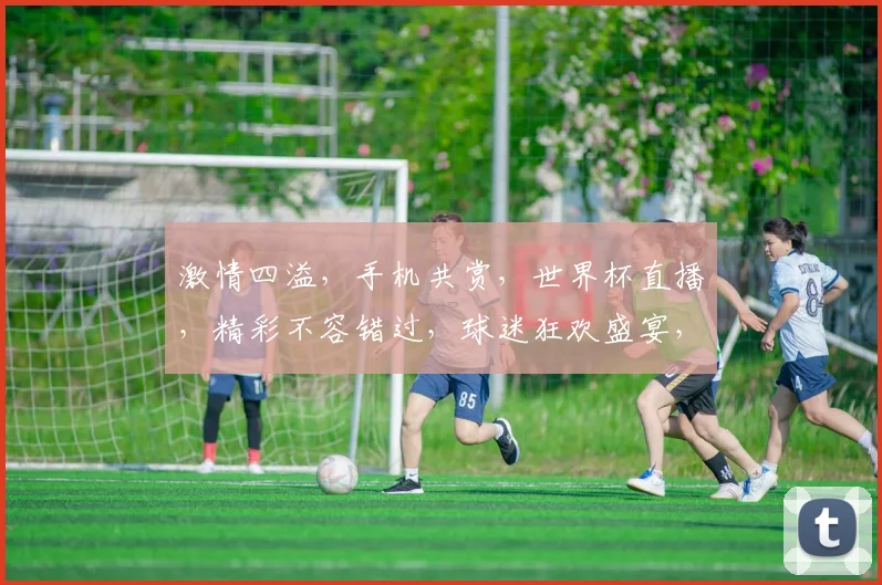 激情四溢，手机共赏，世界杯直播，精彩不容错过，球迷狂欢盛宴，一触即达