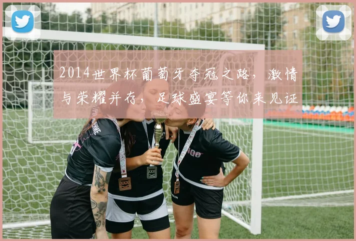 2014世界杯葡萄牙夺冠之路，激情与荣耀并存，足球盛宴等你来见证